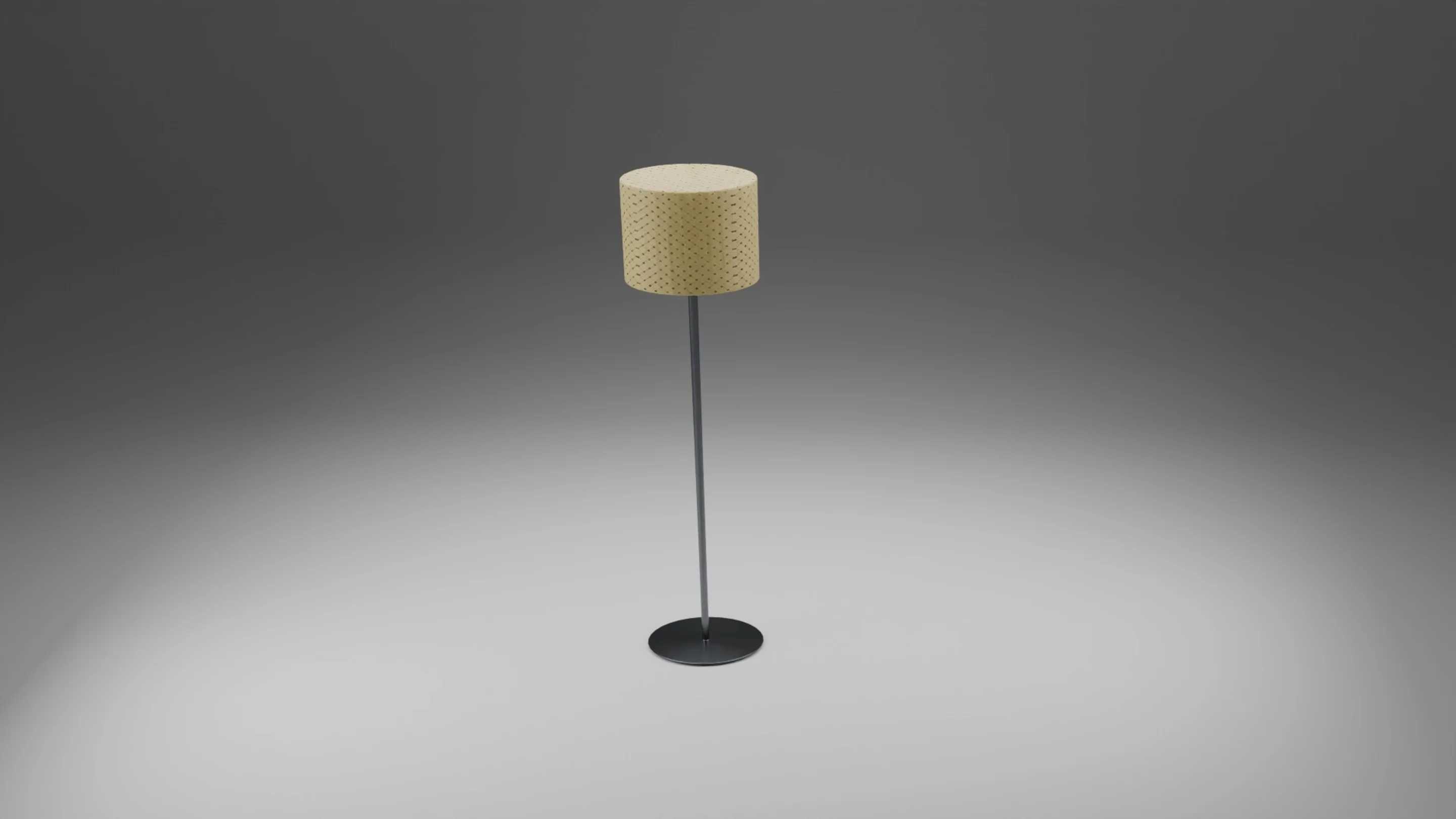 Asset 4